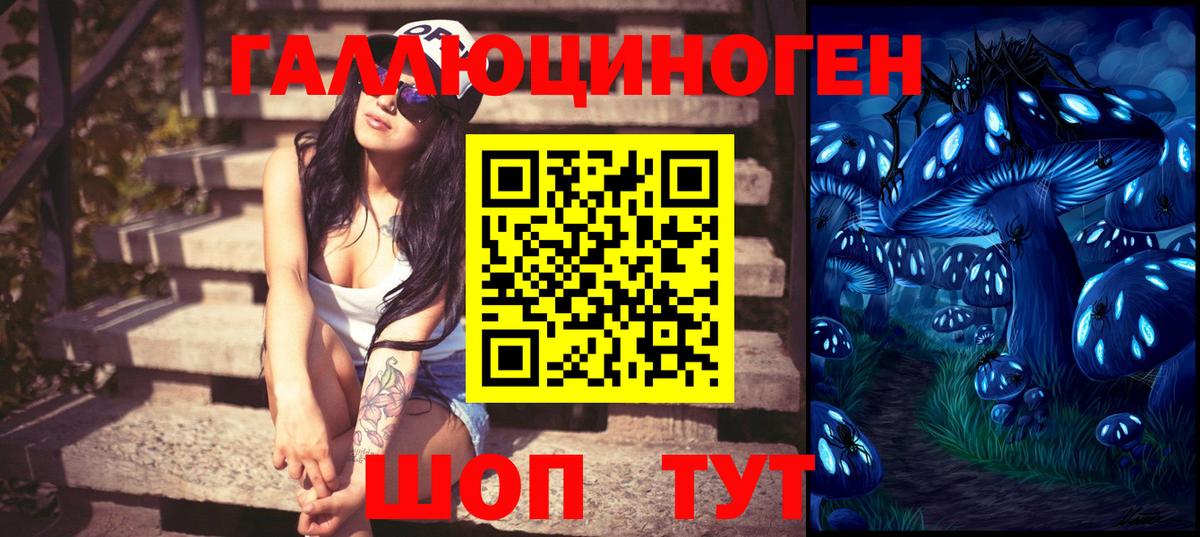 где можно купить   Вход с VPN  Ессентуки  Псилоцибиновые грибы мухоморы 
